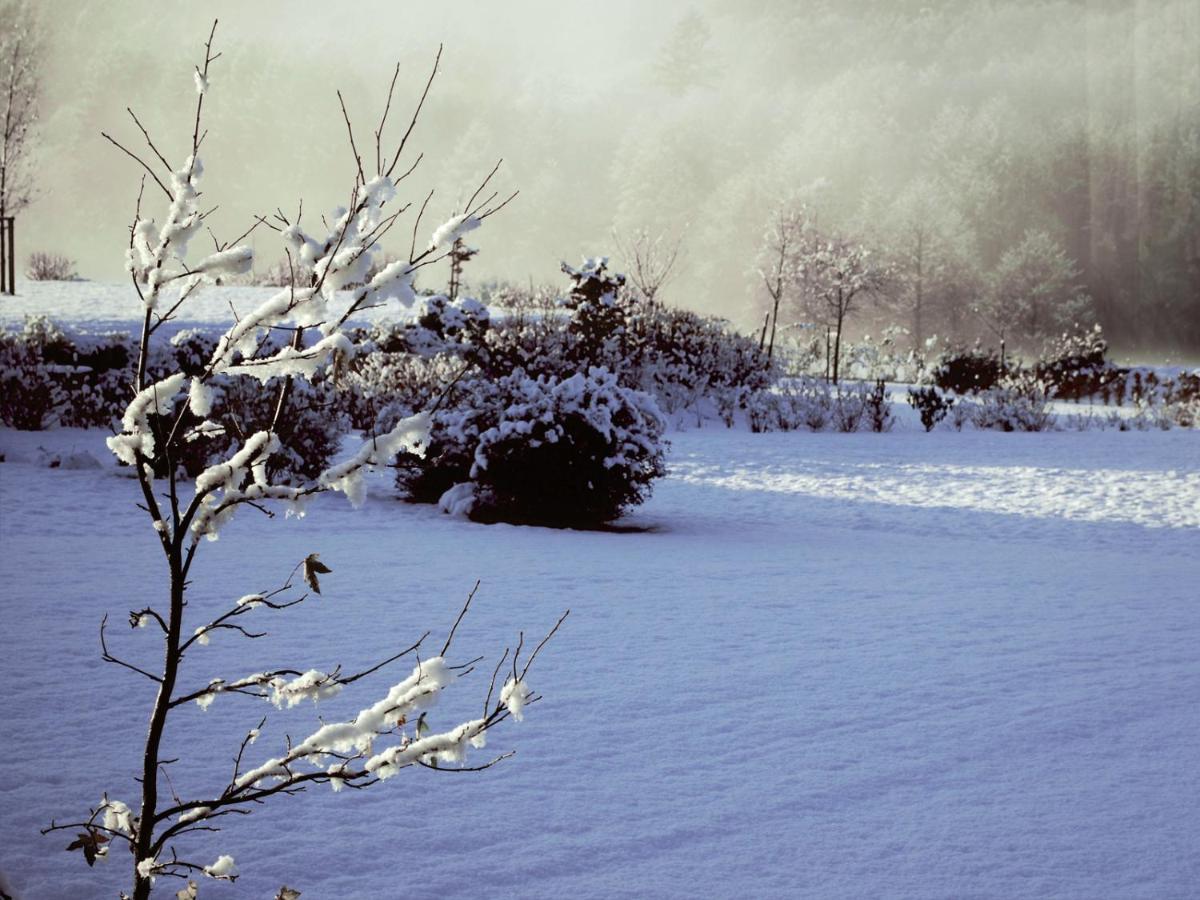 B&B Le Clos Du Lac Sart-lez-Spa ภายนอก รูปภาพ